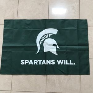 Green Michigan state flag